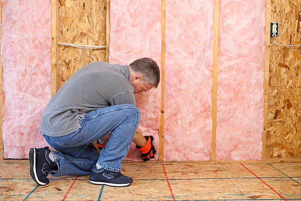 Best Soundproof Insulation Installation  in USA